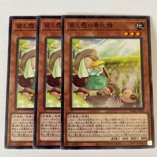 Seedlings and Kasumi no vernalization seijin *178