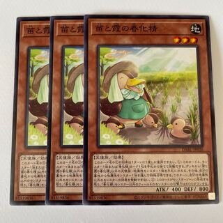 Seedlings and Kasumi no vernalization seijin *179