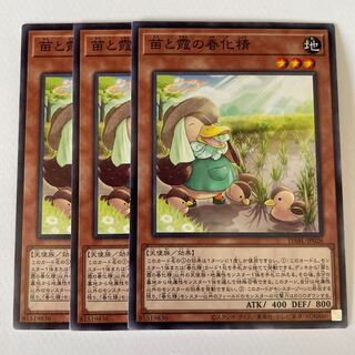 Seedlings and Kasumi no vernalization seijin *181