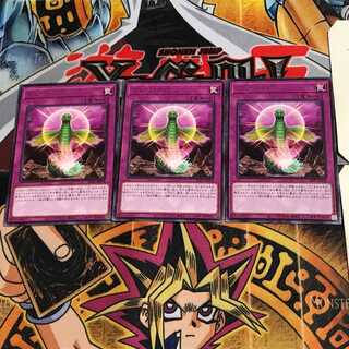 One by One LIOV 7 Rare Set of 3 Tera.