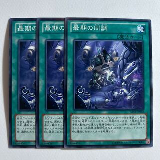 10975 最期の同調 ノーマル JP063