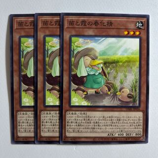 Seedlings and Kasumi no vernalization seijin *206