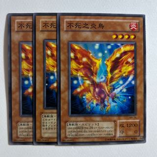 10984 Fushi No Tori *207