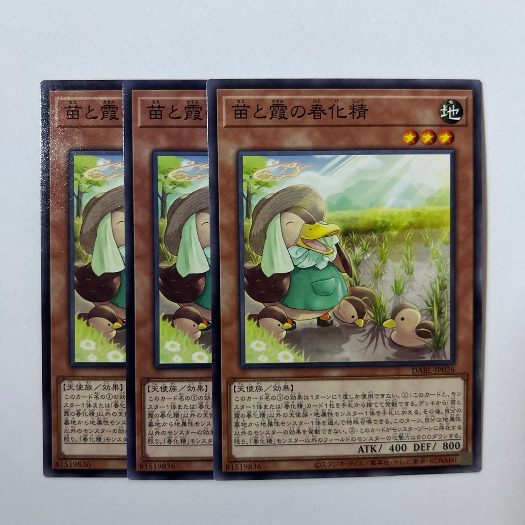 Seedlings and Kasumi no vernalization seijin *215