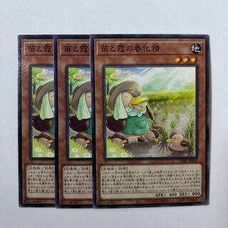 Seedlings and Kasumi no vernalization seijin *215