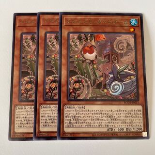 Floowandereeze & Robina *285