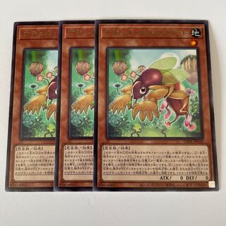 11027 Natur Mole Cricket *289