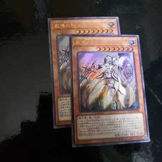 教導の騎士フルルドリス UR