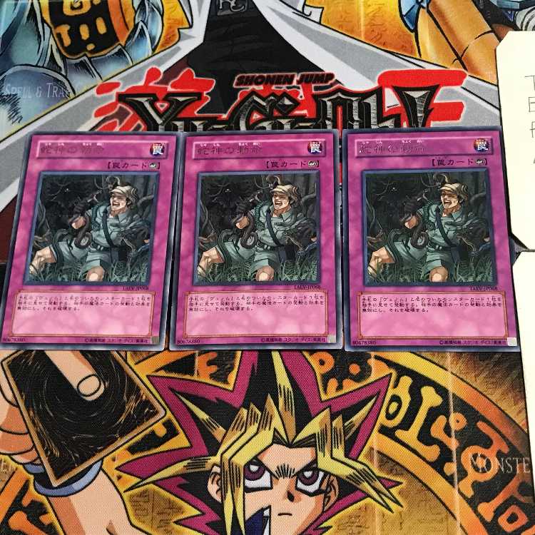 蛇神の勅命 TAEV 9 レア 3枚セット てら