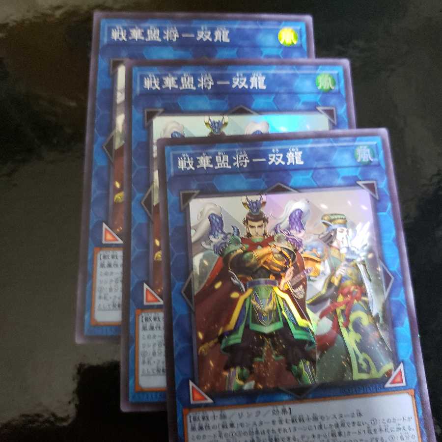 戦華盟将-双龍 SR