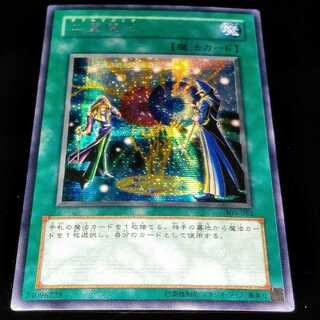 【セール中♪】二重魔法(ダブルマジック)