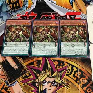 DD Griffon BACH 7 Rare Set of 3 Tera