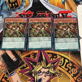 DD Griffon BACH 9 Rare, set of 3 Tera.