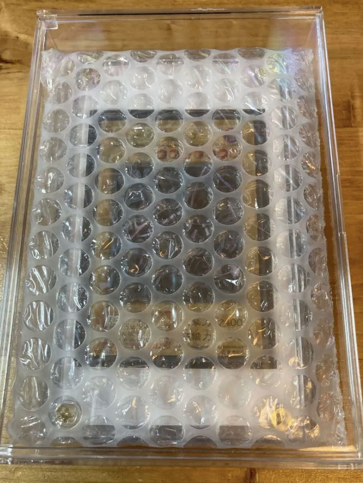 ステンレス製『真紅眼の黒竜(YCSJ)』 プロモ