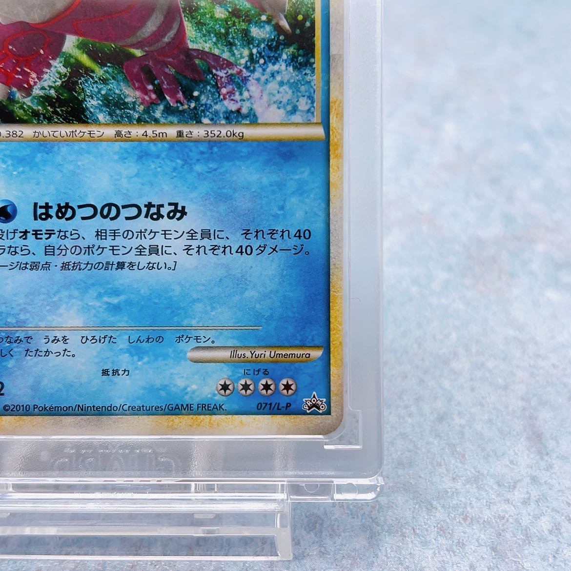 071/L-P Kyogre Different Color "Pokémon Card Game Legendary Pokémon Present" Campaign Promo Card