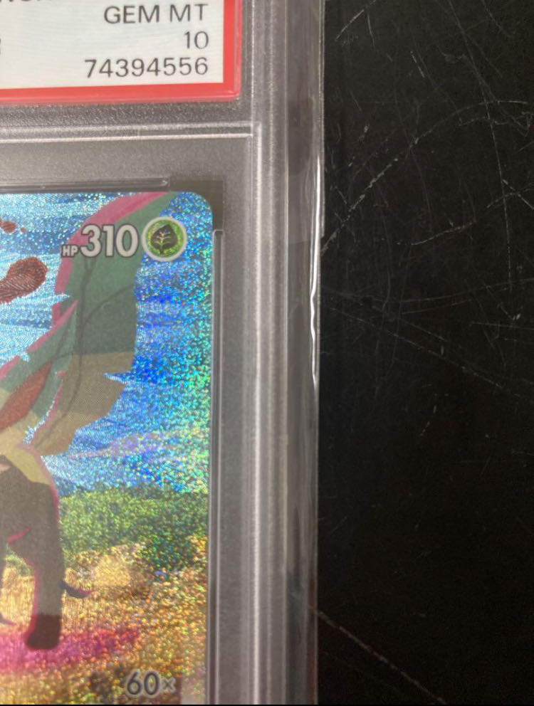 PSA10] LeafeonVMAX HR 088/069