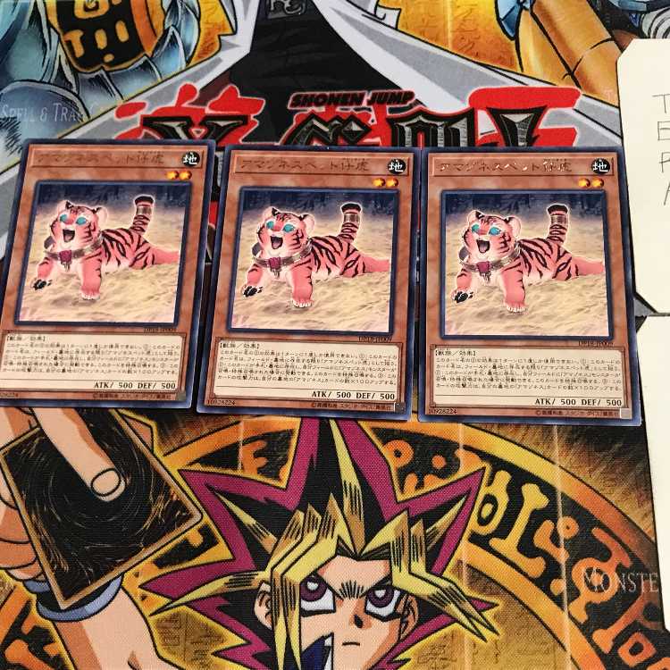 Amazoness Baby Tiger DP18 6 Rare Set of 3 Tera.