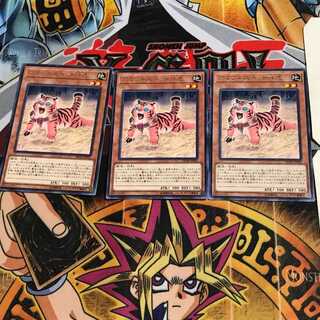 アマゾネスペット仔虎 DP18 9 レア 3枚セット てら