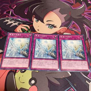 Yang Zing Creation Normal JP074