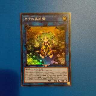 セラの蠱惑魔 スーパー