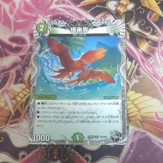 Birds of Paradise (Black Treasure) R T12/T20