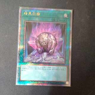 Darkness Corridor QCSE JP059