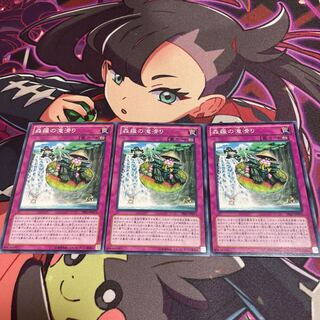 Sylvan Waterslide Normal JP073