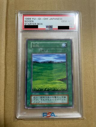psa10 草原　レア　starter