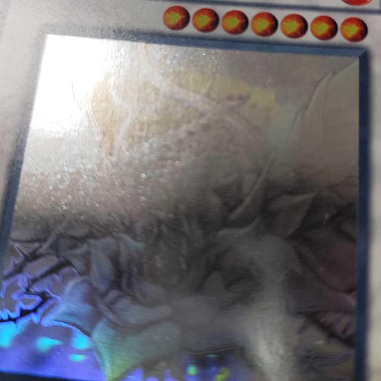 Black Rose Dragon Holographic Rare JP039 Search Word( Relief Ultimate)