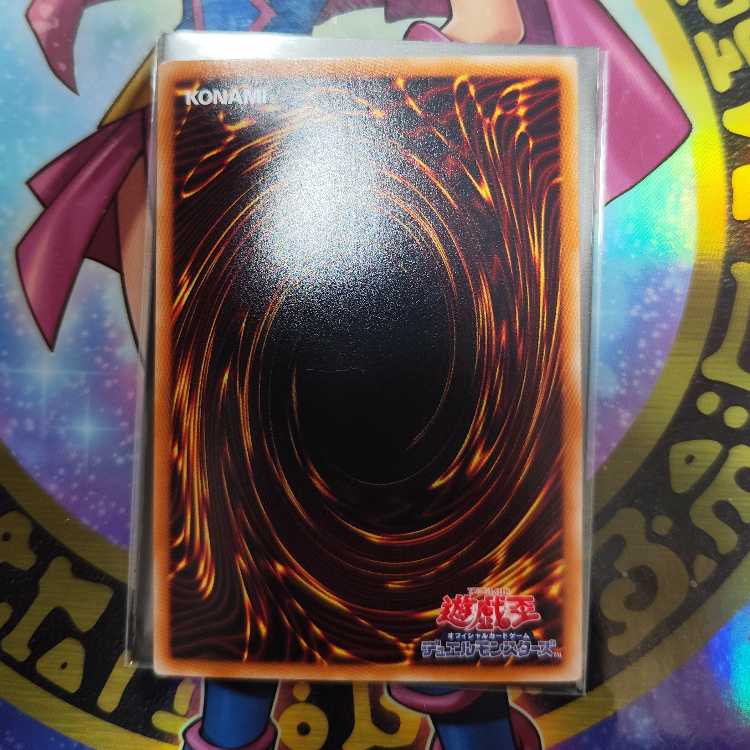 Black Rose Dragon Holographic Rare JP039 Search Word( Relief Ultimate)
