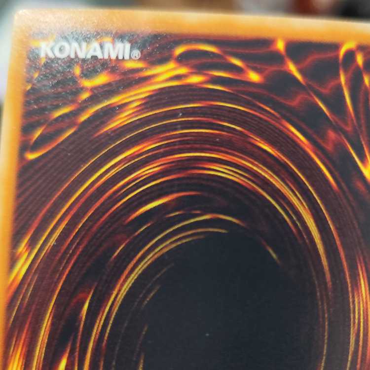 Black Rose Dragon Holographic Rare JP039 Search Word( Relief Ultimate)