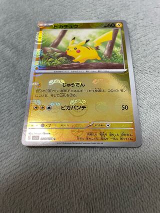 ピカチュウ(マスターボール柄/ミラー仕様) C 025/165