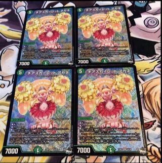 Cheer Scarlet Whitney SR S8/S8