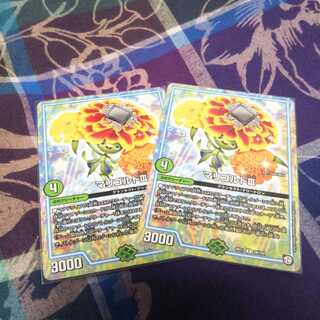 sora専用マリゴルド