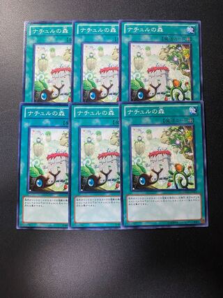 Naturia Forest Normal JP051