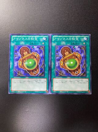 アマゾネスの秘宝 ノーマル JP018