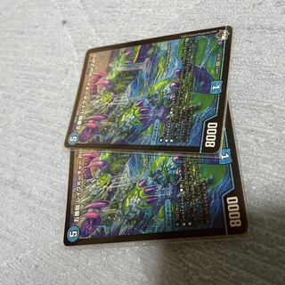 五番龍 レイクポーチャー ParZero SR S2/S8