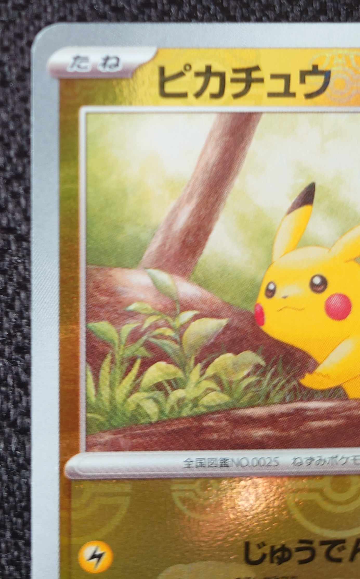 Pikachu (Master Ball pattern/mirror)