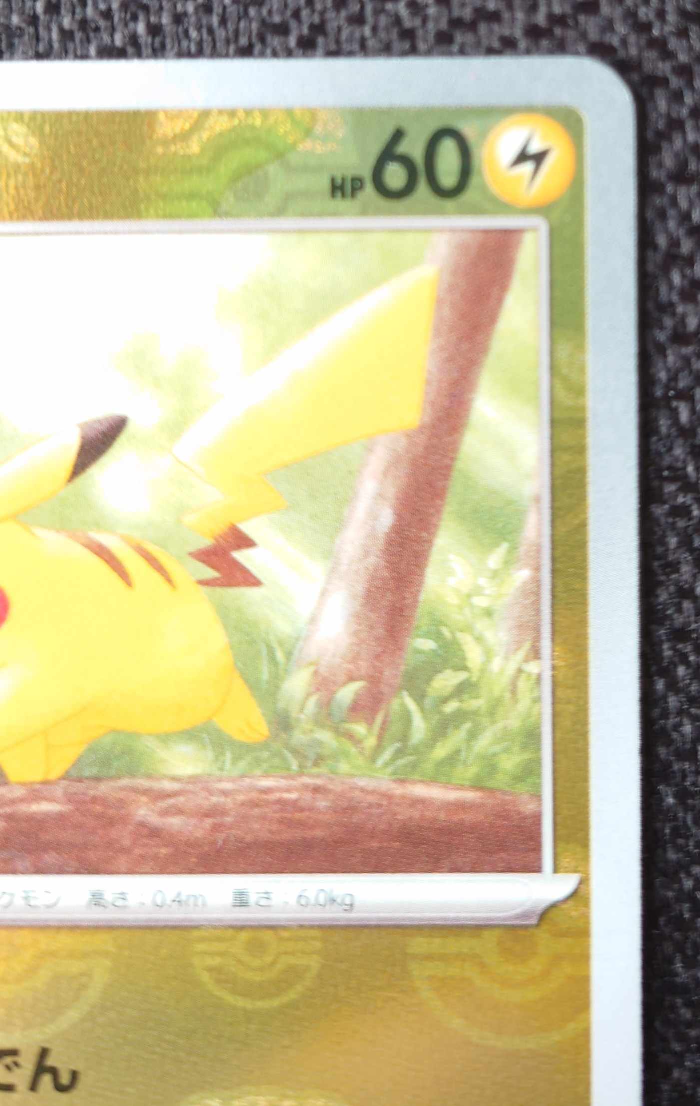 Pikachu (Master Ball pattern/mirror)