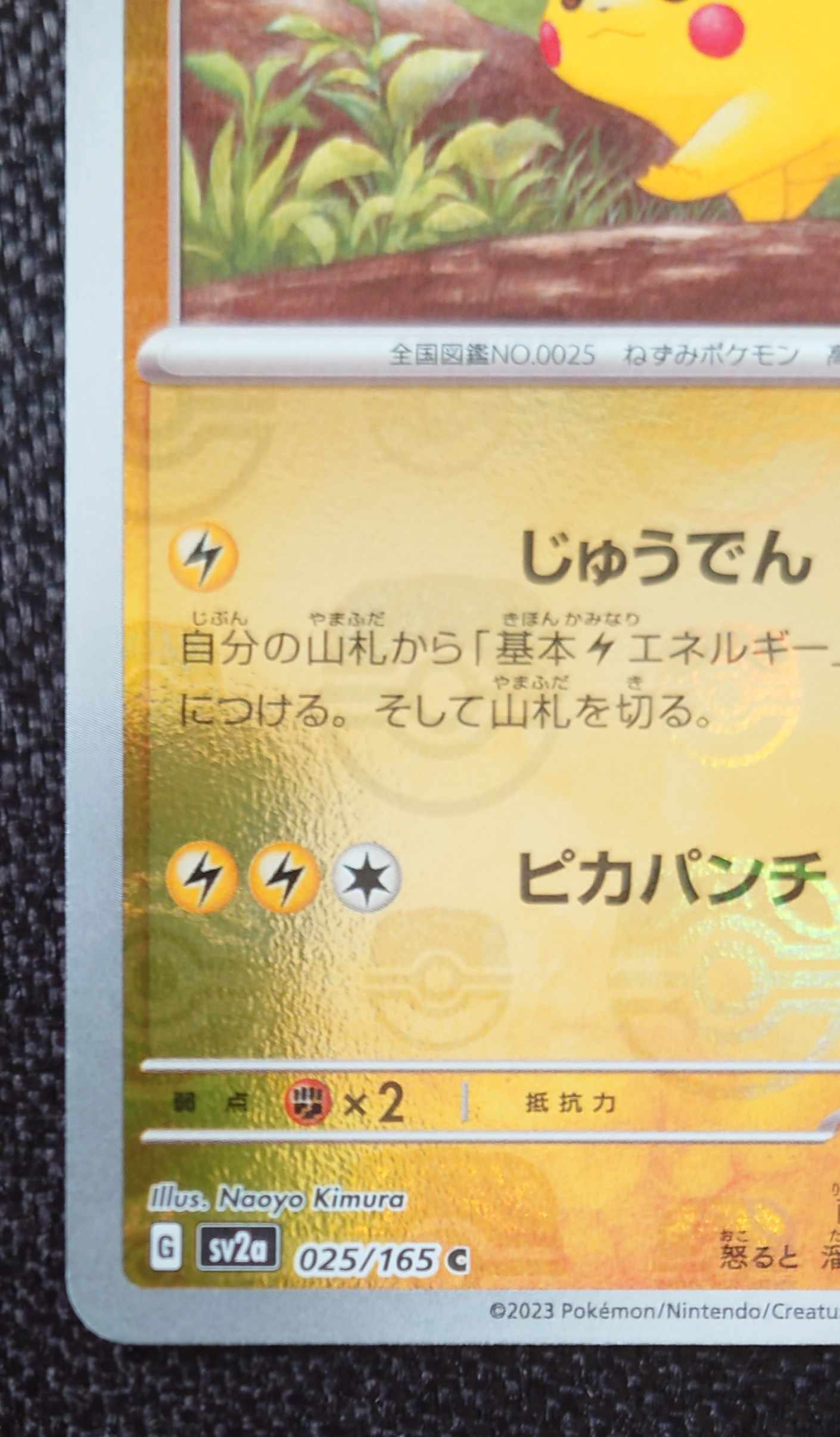 Pikachu (Master Ball pattern/mirror)