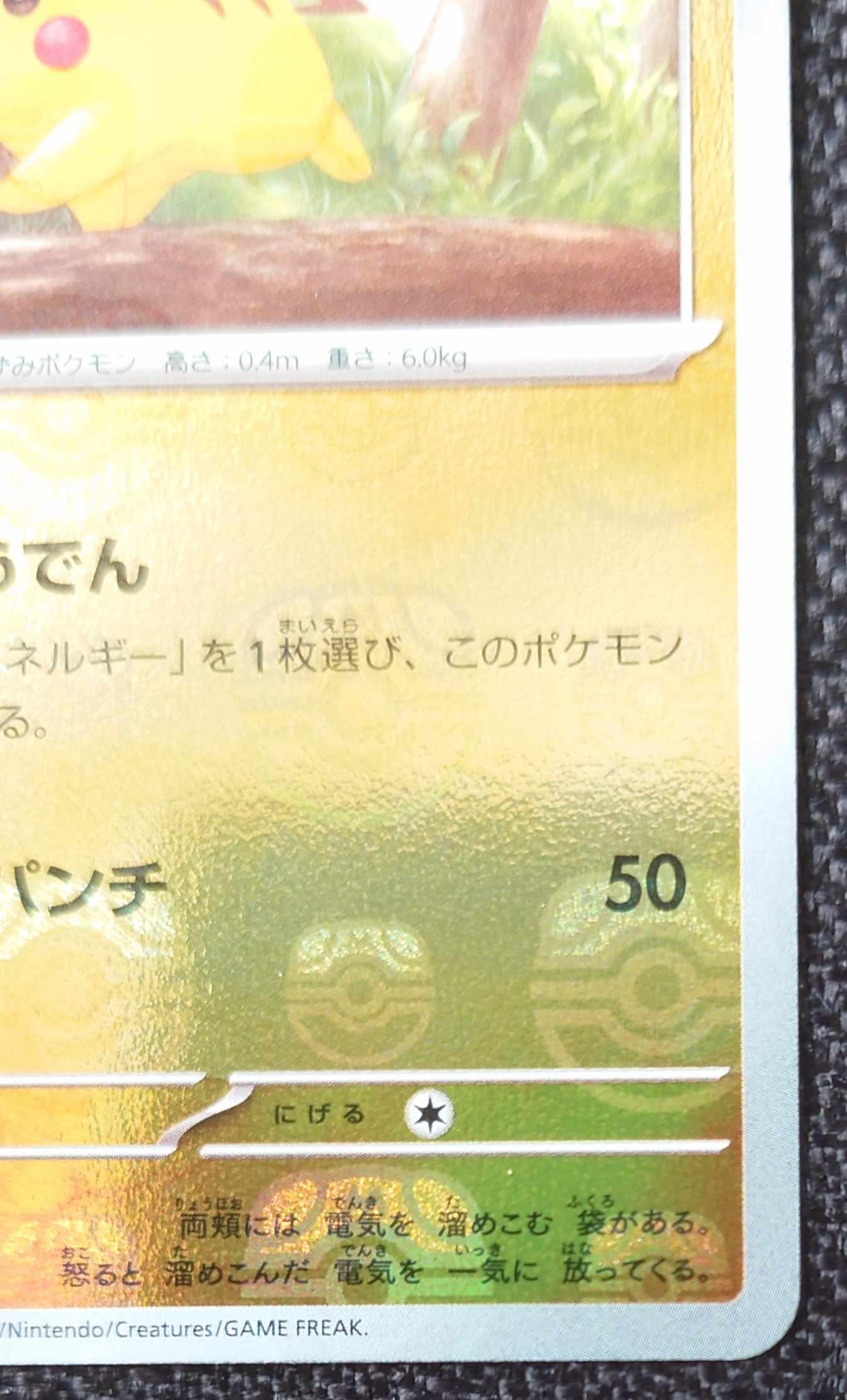 Pikachu (Master Ball pattern/mirror)