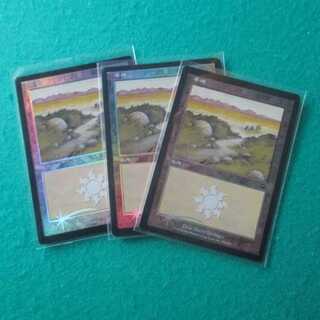 旧枠/平地/基本土地/foil/メルカディアンマスクス