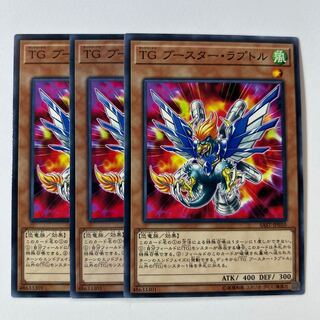 11047 T.G. Booster Raptor *320