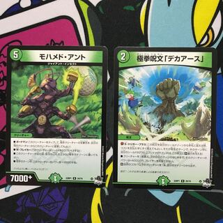 Polar Fist Spell "Deca Earth" R 25/74 / Mohammed Ant R 24/74