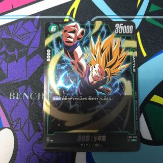 Harami] Son Gohan: Boyhood (Parallel)R★FB01-090