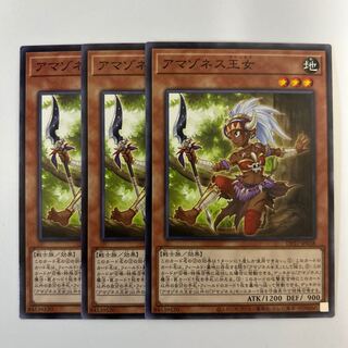 11063 アマゾネス王女 ノーマル JP038