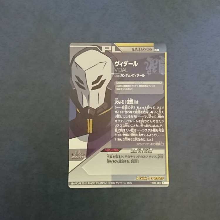 Gundam Triage TKR2 P Vidal