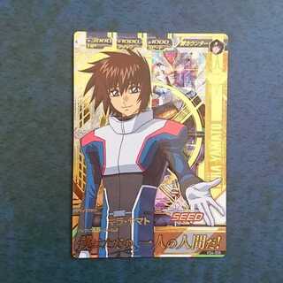 Gundam Triage TKR3 P Enhanced ZZ Gundam 1枚