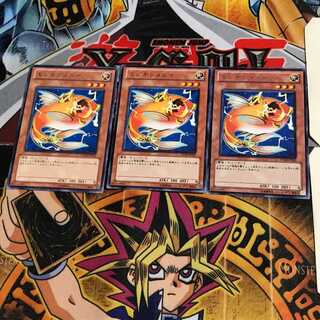 Wattberyx STOR 6 rare, set of 3 Tera.