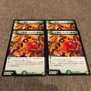 大集結!ドングリ軍団